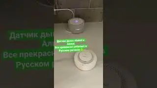 Умный дом: Датчик дыма xiaomi и Алиса. Обзор и подключение скоро в блоге.