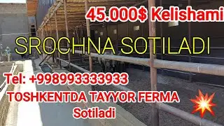 FERMA SOTILADI 9.5 SOTIX TAYYOR BITGAN. 45.000$ ☎️993333933