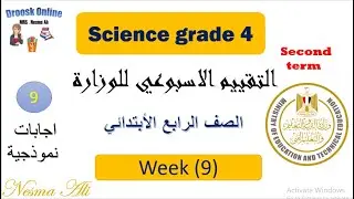 حل تقييمات الوزارة ساينس رابعة ابتدائي ترم تاني الاسبوع التاسع  term2 l classwork l homework  #week9