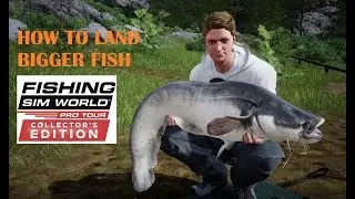 Как поймать КРУПНУЮ РЫБУ [Коллекционное издание Fishing Sim World Pro Tour]