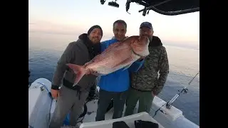 Charter Pesca Palermo traina con il vivo alla ricerca dei corazzieri