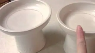 Classy Cat Dishes product review, video 1