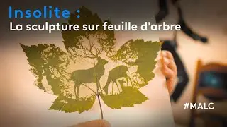 Insolite : la sculpture sur feuille d'arbre