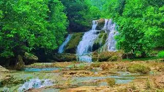 Relaxing Music For Stress Relief, Anxiety and Depressive States🌿 Heal Mind, Sleep Music 26