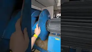 Dectron EX fan bearings are failing.  I may have no culture but doesn't that sound like a violin?