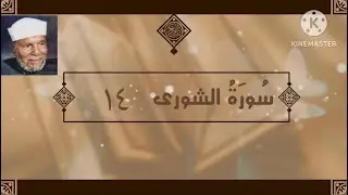 سورة الشورى الآية 14 تفسير الشيخ الشعراوي #قليل_دائم_خير