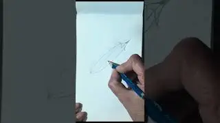 A pea bean ( matter ke fali ) drawing easy # youtube shorts video