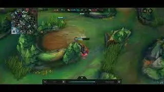 Bug Report - Wild Rift