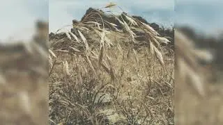 Br&oacute;mus (Bromus) - Br&oacute;mus (2020, Ambient, Drone)