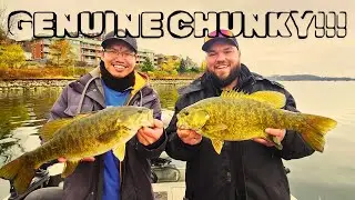 Chasing Huge Bass with @TaroMurata on Lake Simcoe!!