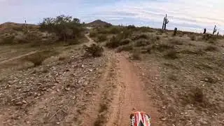 AZ Singletrack 1/28- Flowy Flats (400 EXC)