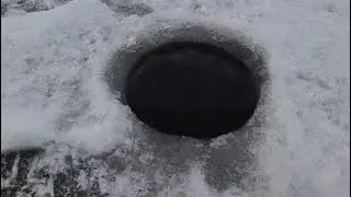 Cooksbay Ice Report 24 Jan, 2021