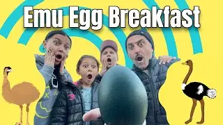 Its Adventure Time Tv - Emu Egg Breakfast at Ostrich Land