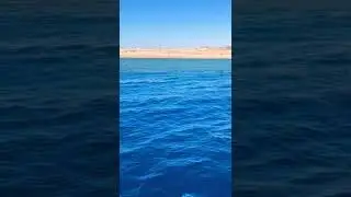Egypt. Red Sea. Sharm el Sheikh. Самое синее Красное море.