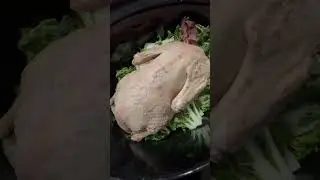 Farm Dogs Eat Healthy Farm to Table Meal #shorts