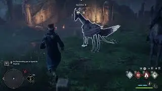 Conjure a breeding pen