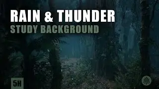 Rain & Thunder Sounds &ndash; Deep Sleep, Focus, Study Ambience and Relaxing Nature Background