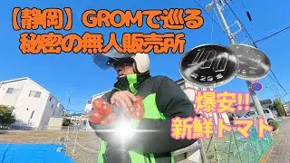 【静岡】GROMで巡る秘密の無人販売所　爆安!!新鮮トマト