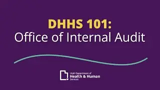 DHHS 101: Internal Audit