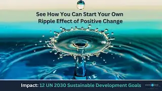 Your Ripple Effect of Positive Change: 12 UN Sustainable Development Goals Impacted by You!