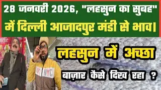 लहसुन में अच्छा क्या Azadpur Delhi Mandi Today 28-01-2026 को बने ऐसे Garlic Price DMT TV 