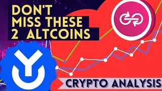 🚀 Yearn Finance (YFI) DFI Money (YFII) Crypto Tokens - 🚨 WHAT'S NEXT!?🚨
