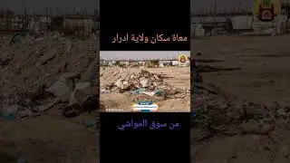 معاناة سكان أدرار مع الروائح الكريهة التي تصدر من سوق المواشي#معاناة  #اكسبلور  #ادرار  #ترند  #الجز