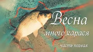 Весна много карася  часть первая