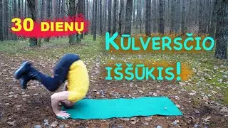 Kūlversčio iššūkis