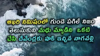 Chinni serial reviewఆఖరినిమిషంలోగుండెపగిలేనిజం తెలుసుకుని మధుమ్యాడిని  ఒకటి చేసి దేవకు షా.ఇ నాగవల్లి