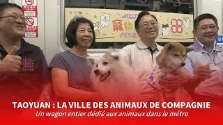 Taoyuan : ville des animaux de compagnie | Taiwan actus | RTI