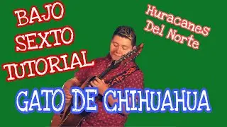 El Gato de Chihuahua - Huracanes del Norte (TABS Bajo Sexto Tutorial)