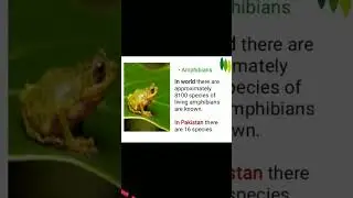 Biodiversity in Pakistan #assistantdirectorwildlife #wildlifestudy