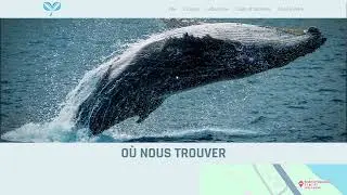 Pr&eacute;sentation d'un projet site web &eacute;tudiant (refonte de site)