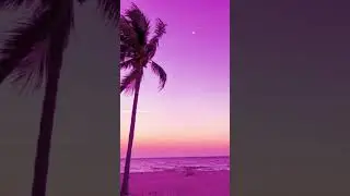 Nice#pink#blue#cool#shorts#vids
