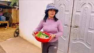 I go pick vegetables at home to make a delicious soup for my family to eat.@SokleangFamilylife