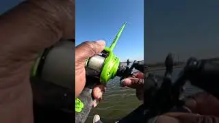 С помощью этого телевизионного блока Kickin Their Bass можно ловить и черепах!