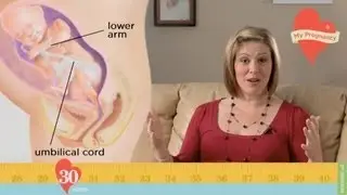 My Pregnancy - Week 30