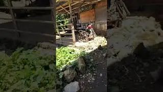 the Philippines 🇵🇭Mexican in the Philippines:Expat house build in the Province:Update #ex
