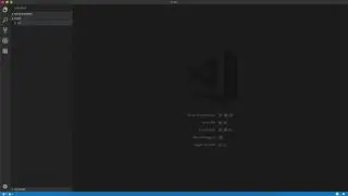 Launch a development local Server with live reload feature for static & dynamic pages | VS Code
