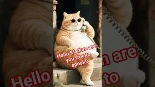 Orange Cat&rsquo;s Serious Business Call 📱🐾 | Too Cute to Handle!