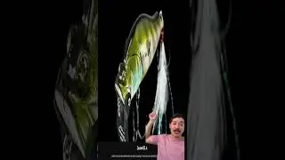 New Baits from ICAST 2024, Part 6 #Fishing