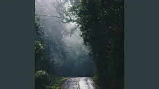 Calmful Nice Rain Sounds in Car for Sleep