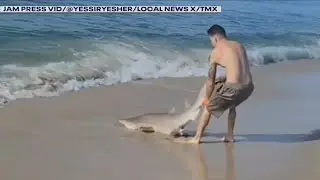 Man drags shark out of water at Fire Island beach
