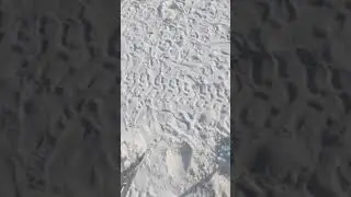 Metal detecting smashed tomatoes #shorts
