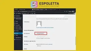 WordPress: Reset Password