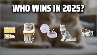 The Top 5 Best Cat Cone Alternative in 2025 - Must Watch Before Buying!