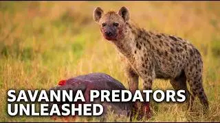 The Brutal Truth About Survival in Africa's Deadliest Ecosystem