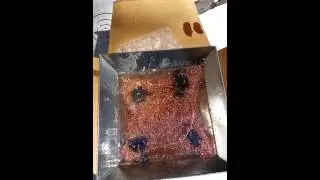 Orgonite Production!