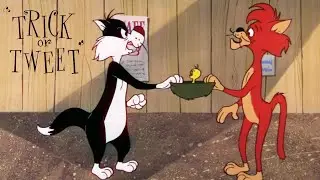 Trick or Tweet 1959 Merrie Melodies Sylvester and Tweety Cartoon Short Film | Animation Review